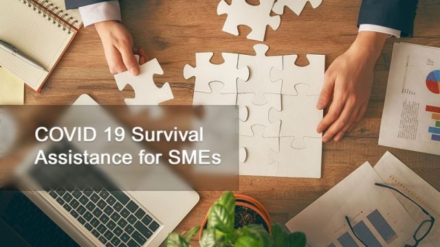 COVID 19 Survival Assistance for SMEs