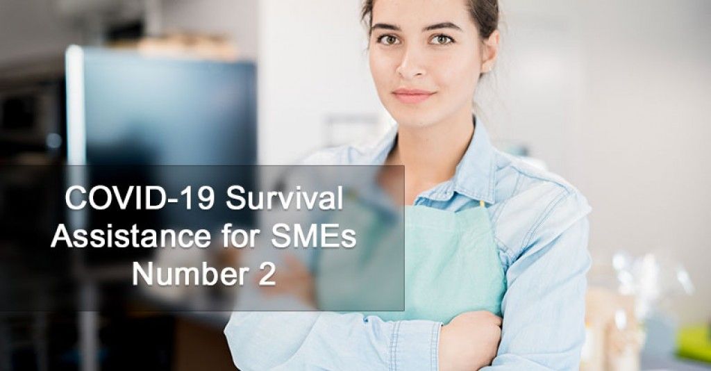 COVID 19 Survival Assistance for SMEs Number 2