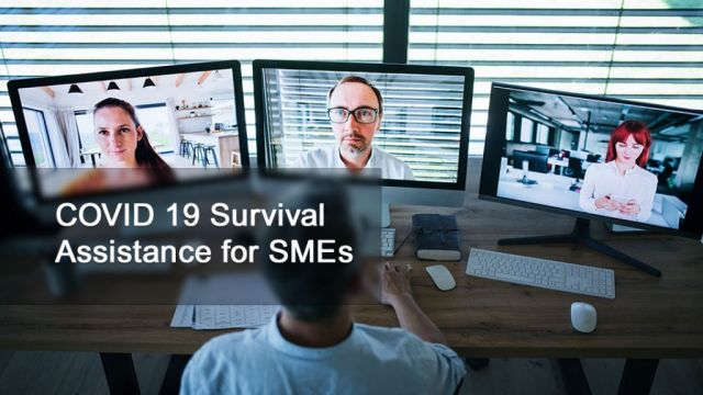 COVID-19 Survival Assistance for SMEs